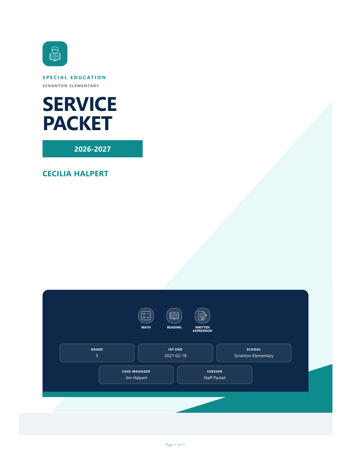 Modern Professional packet template